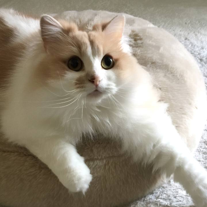 4a97ef8c a863 4664 996d c2a2b38017aa