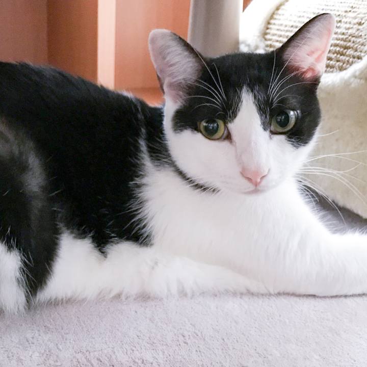 4a982d06 f8ac 438b b385 183d0104a31e