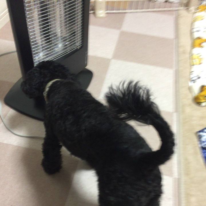 4a9878a7 c7c8 46bf 8fac b940274d39a4