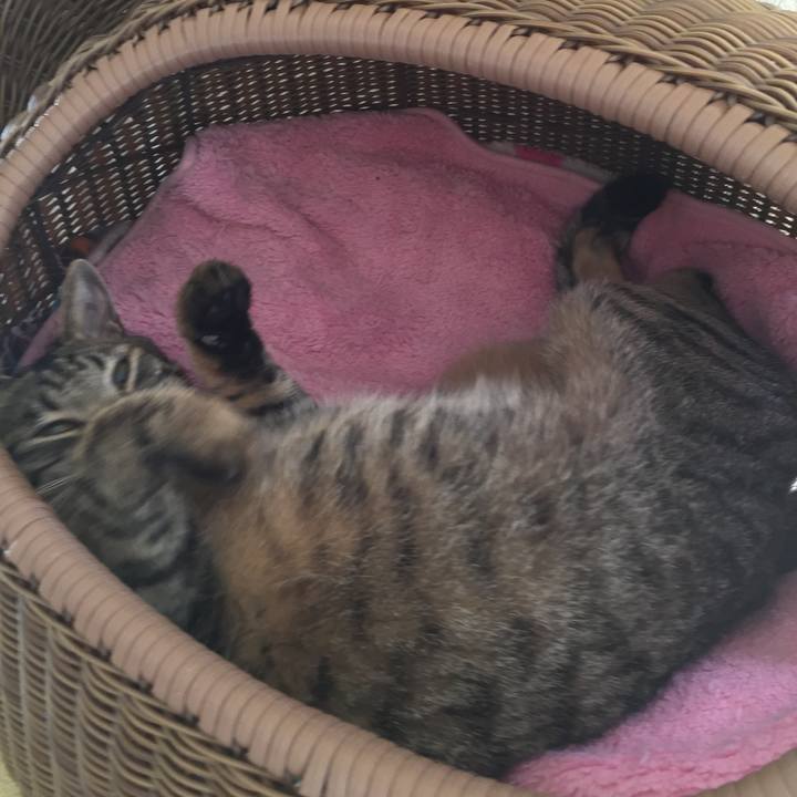 4a98983b 8a86 4389 bbfd 95c47c040be3