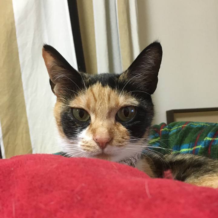 4a98a4ce 5566 4a08 9288 503f4152675b