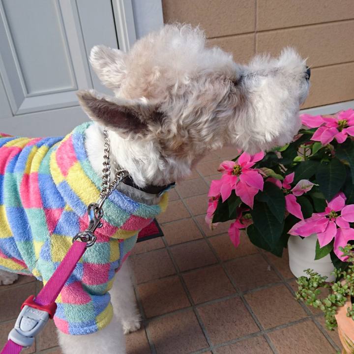 4a98da56 d92f 440d bd18 5e9fdd3cd604