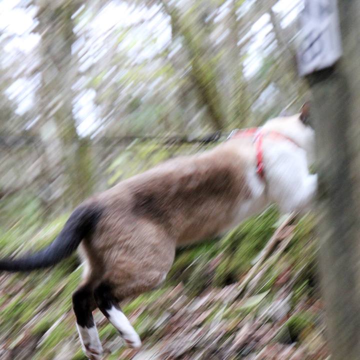 4a99544f 6ed7 4fd3 abe0 5a9fa286ef3d