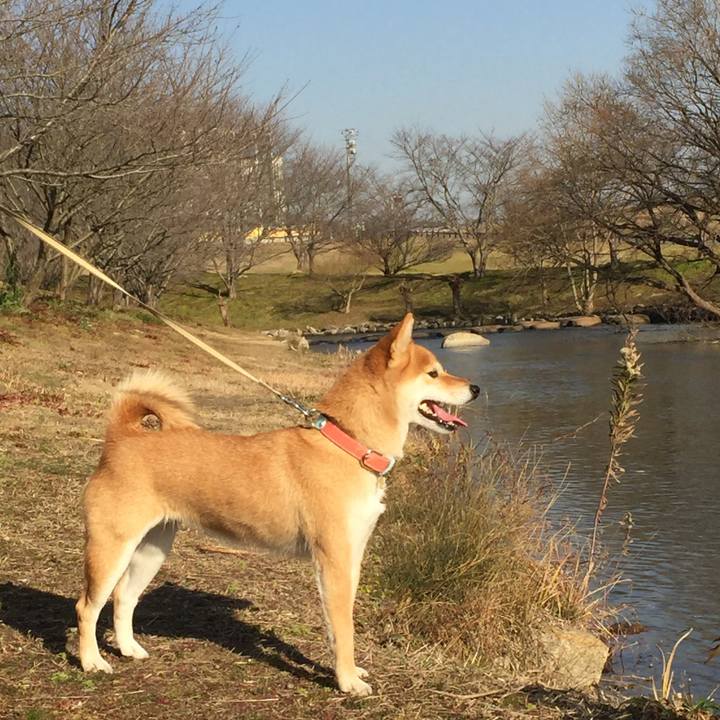 4a999f3f 1d38 4597 8f99 4466ee5aa26b