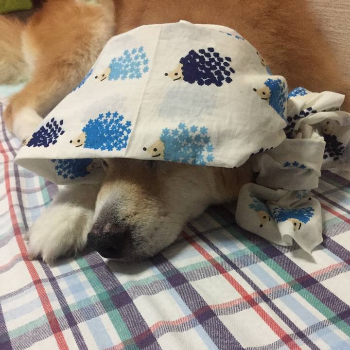 4a9a58b2 9c4d 4681 aab2 d3db6752b95c