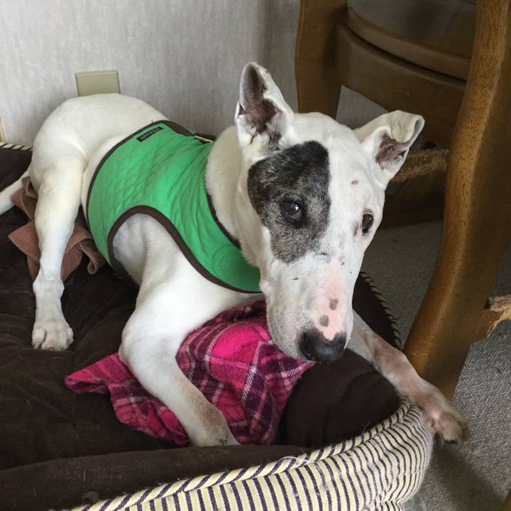 4a9afc32 b3ca 4c90 a24f 25814c1f8e42