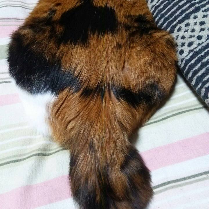 4a9b85e7 c42d 40fb 8b7f ca9755617143