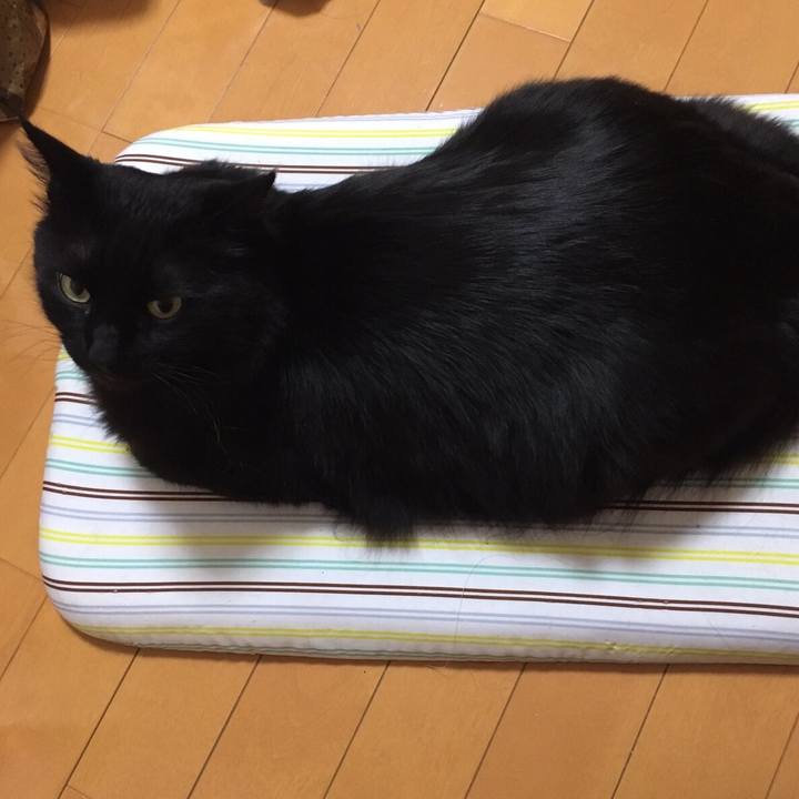 4a9cc6aa 887f 4bbd b6cd 8f029657f890