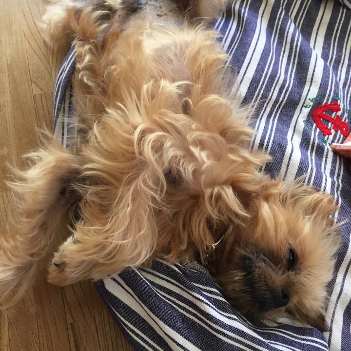 4a9d1df2 f6e4 4285 ac3f 43bf7e5c346c