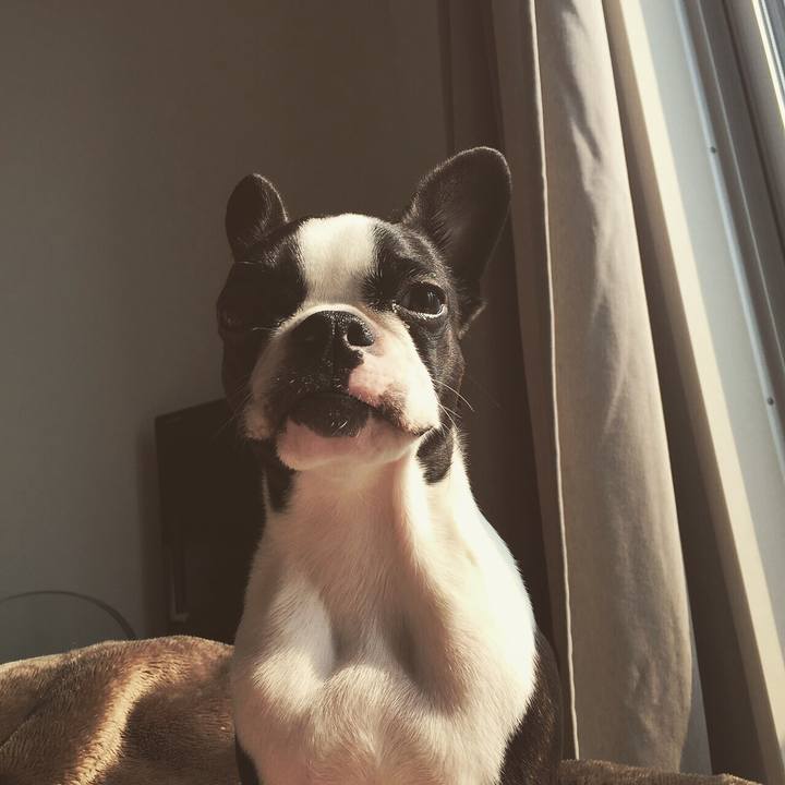 4a9dcba0 68f3 4cb6 afbb 69781f63acff