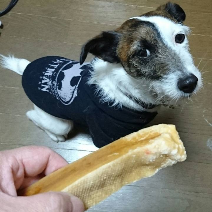 4a9e35e1 146b 49ca a3fe d569beaa3d5a