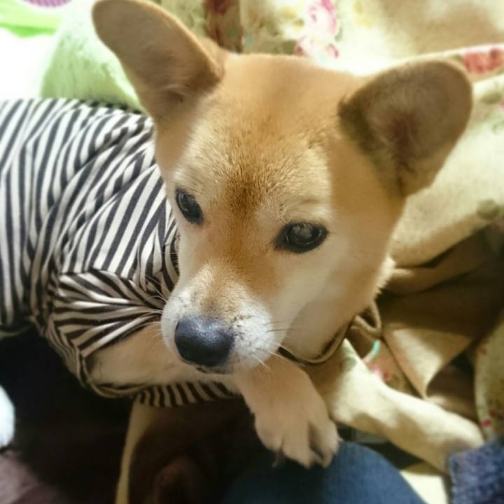 4a9e7bb6 3847 4893 96c9 7befd74ac222