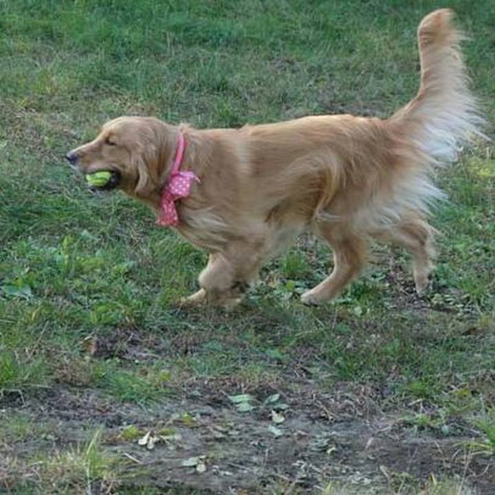 4a9e93b0 4b6b 44c5 95ca c4e9e99b2c0b