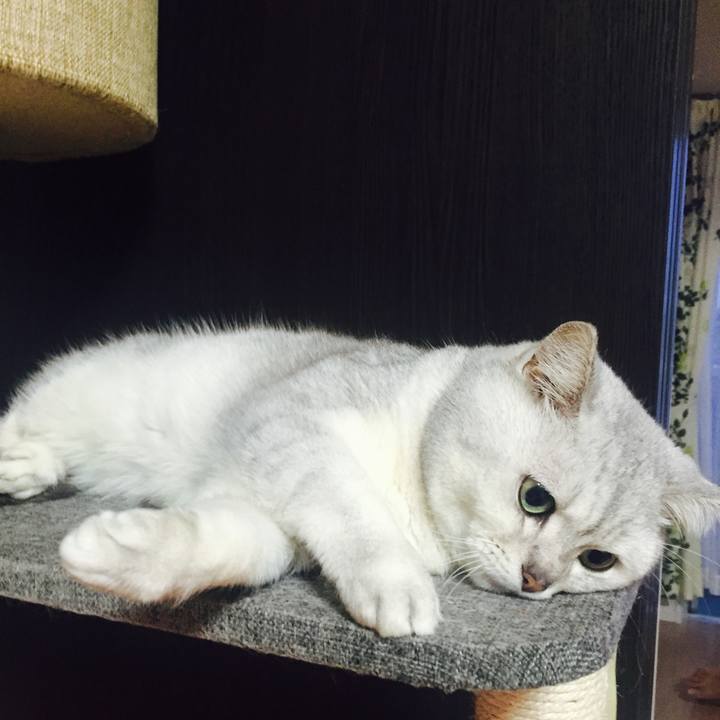 4a9ea3c5 4e8f 4a1e a50e c5eec0d55394