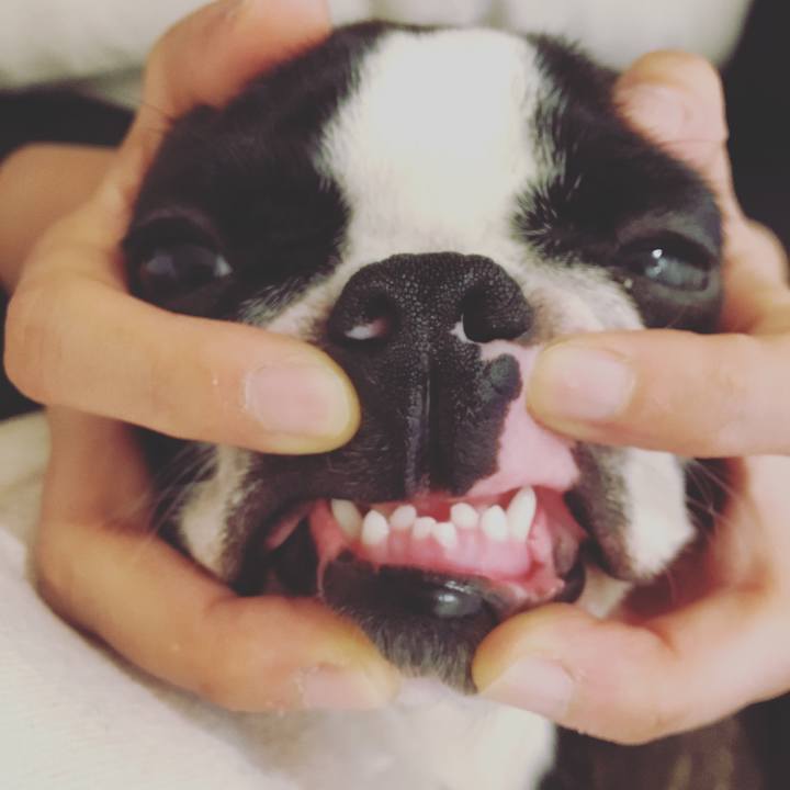 4a9ed523 e042 4f7d aac4 04e39e9bd1a4