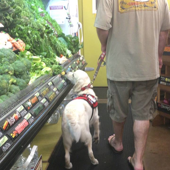 4a9f3043 67f7 4fb2 8d2f 78647c55cf31