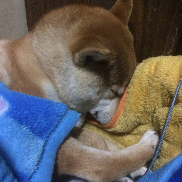 4aa02f53 3539 42f1 a34b 152dfd8eb84c