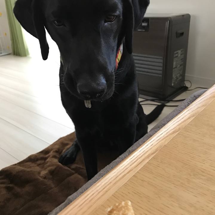 4aa07a14 e579 4728 97b6 4d5644515328