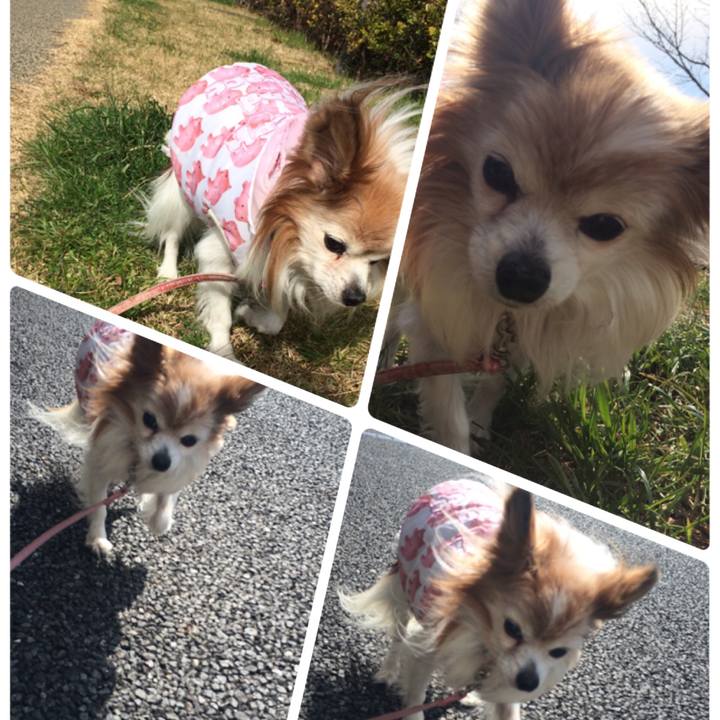 4aa0c3fa 8895 42ca 80df c11b55b52b5e