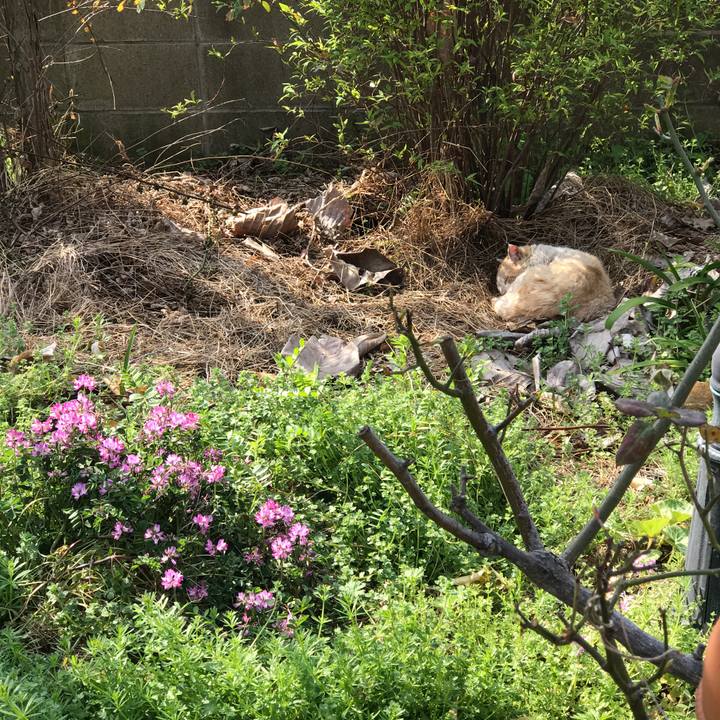 4aa1190b 2734 4de7 87fb cea74693adf3