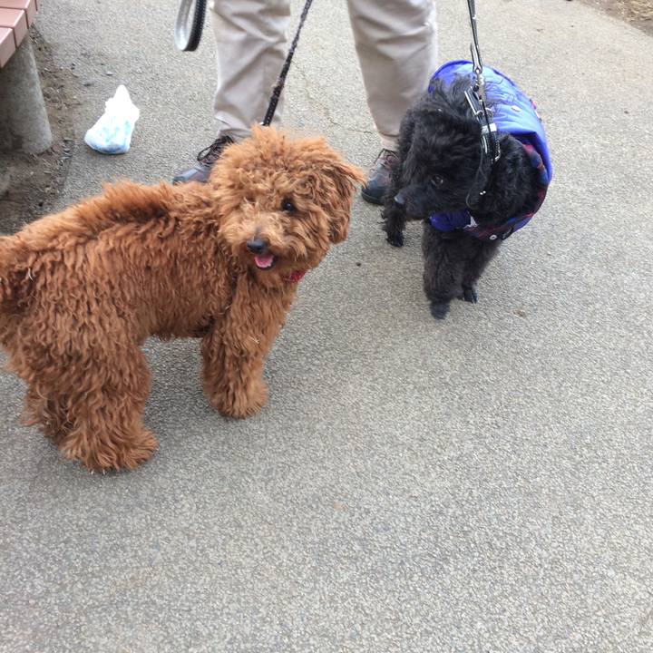 4aa1576c 24a8 48f4 972b e68b401e1084