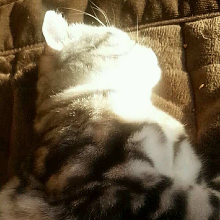 4aa171d8 63b8 46c7 9625 775f124c2900