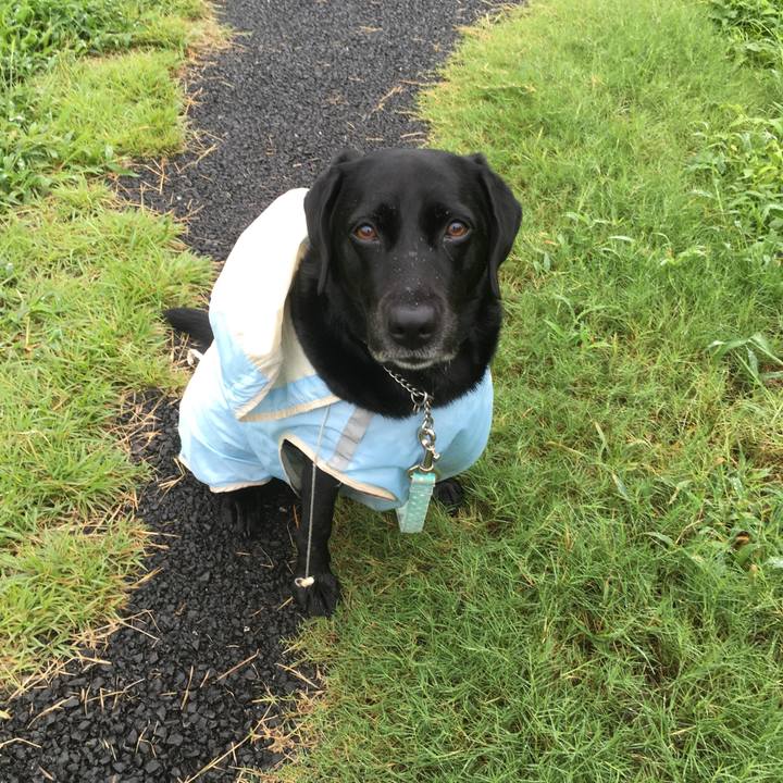 4aa25bba d32d 426c ba7a 0a83a5700c7e