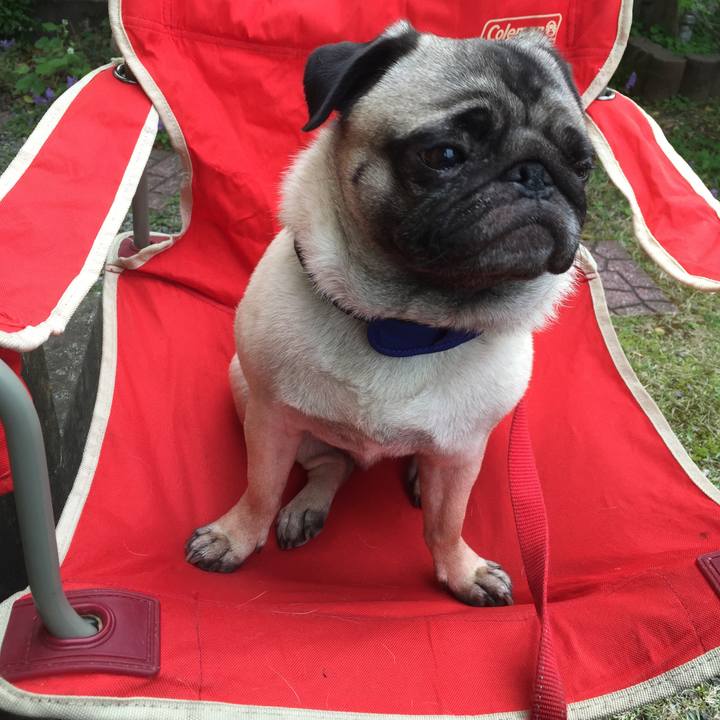 4aa298cb d1cf 456a 84c9 21d7896d689a