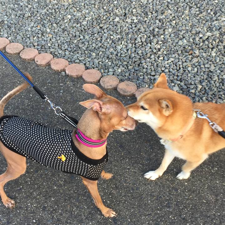 4aa2f9a6 dabe 4e44 9237 f3a6578aa103