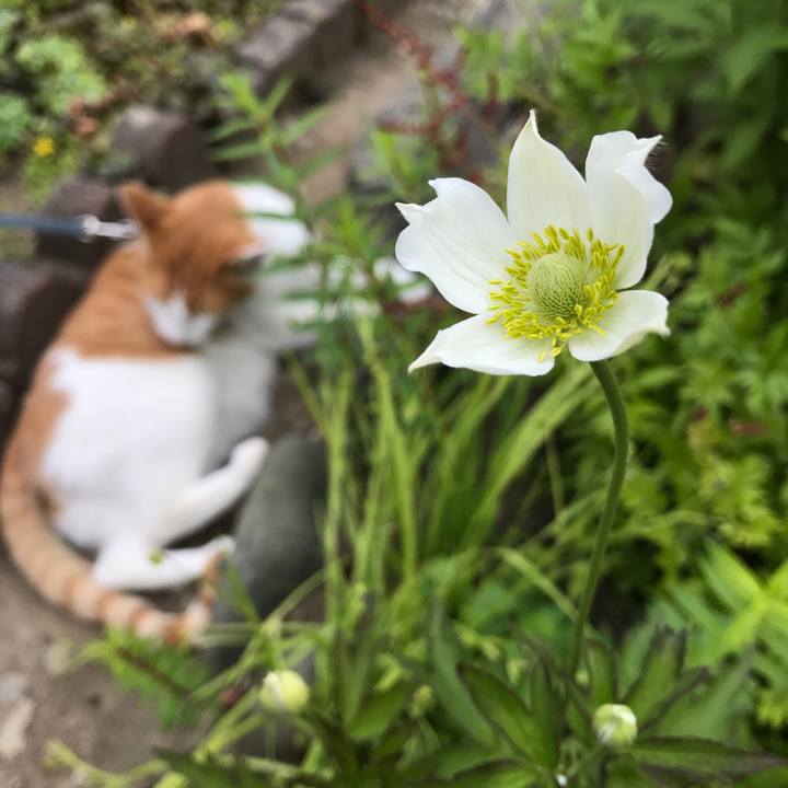 4aa384ad b4fb 4828 90ad dd86de365a78