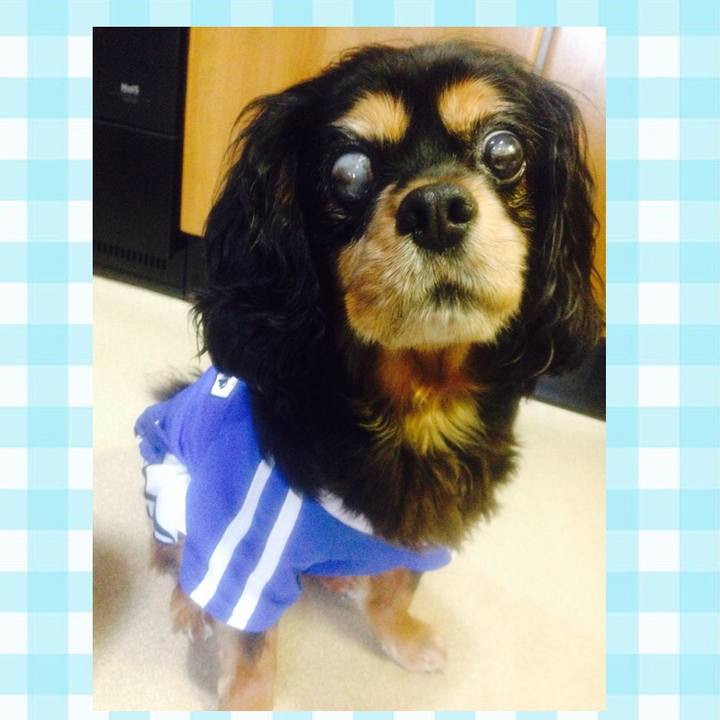 4aa43863 27a0 41f3 9738 6ba9c62c0ea1