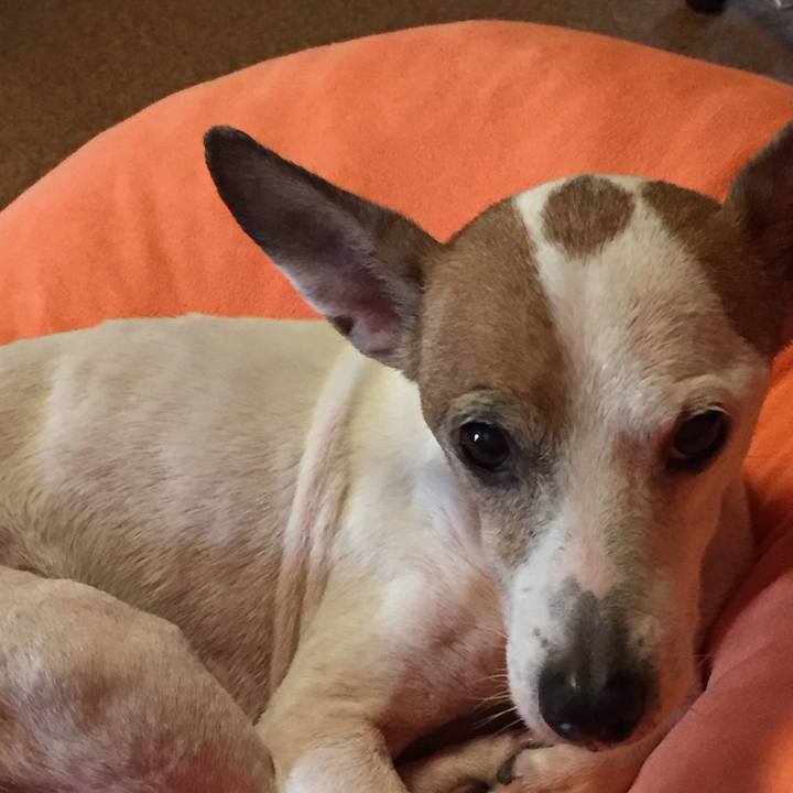 4aa43934 1960 48d8 ba48 b3e21bcea585