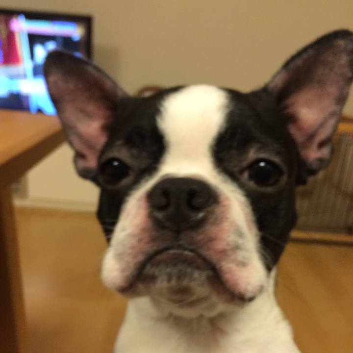 4aa5093e 6b3b 4785 b74b 540c5d522b95