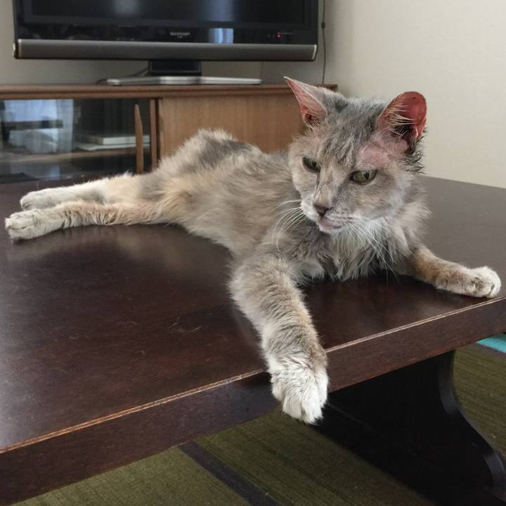 4aa531ab fbda 41cb 96f2 ff1f2cdb38e5