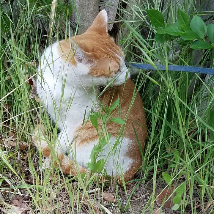 4aa5380d e69b 45c2 b451 4c0e1fe9f55f