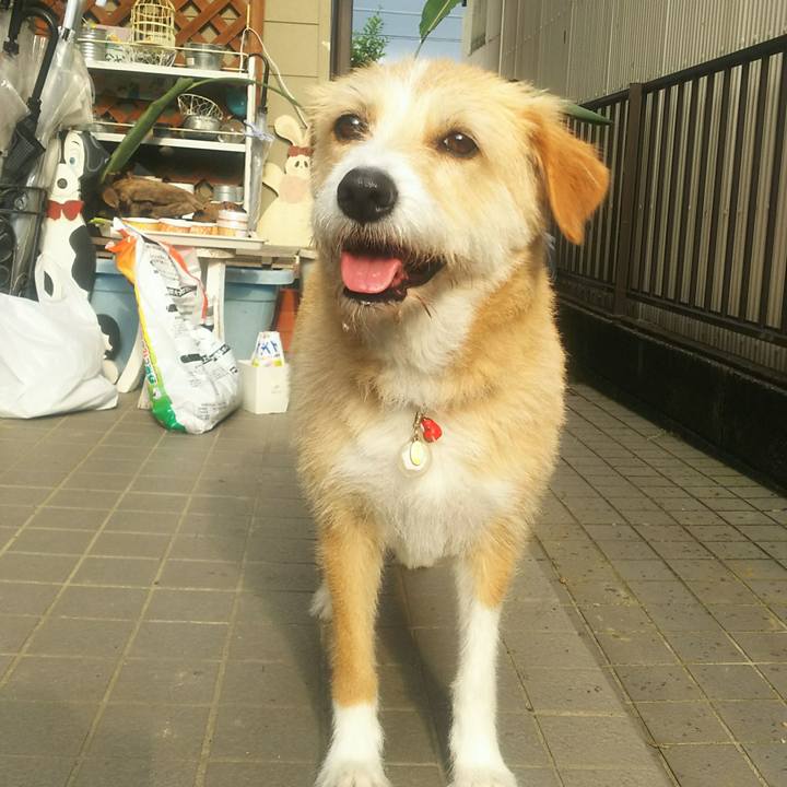 4aa5ec94 4637 48e7 a0fb 8c15a9e68db8