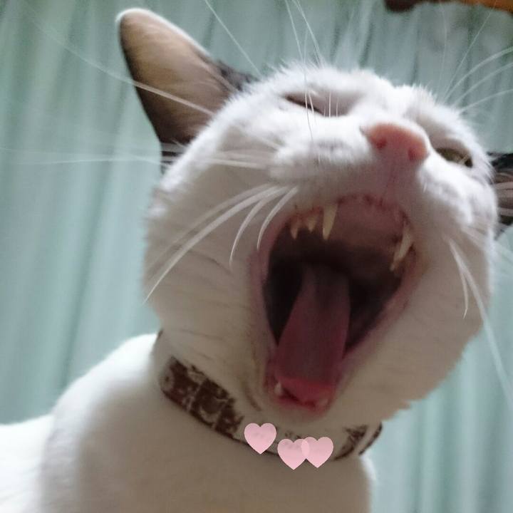 4aa5ff5e 23fb 4b6f 80ef 9d5992ac5fd7