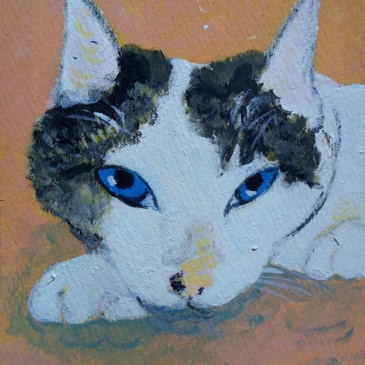 4aa670bc 903d 413e a04b e1cc12dcd43f