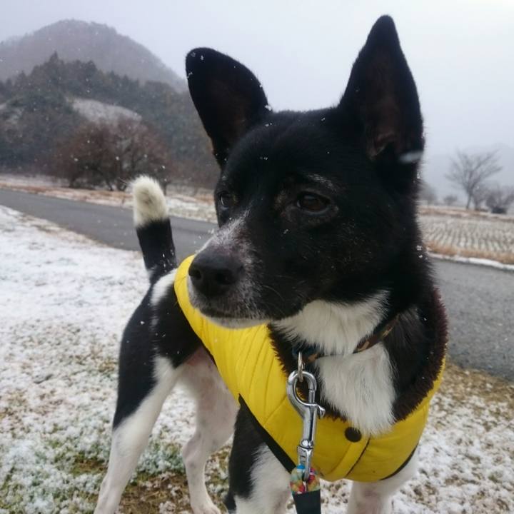 4aa6b455 6cb1 4506 8755 91124e79fe0f