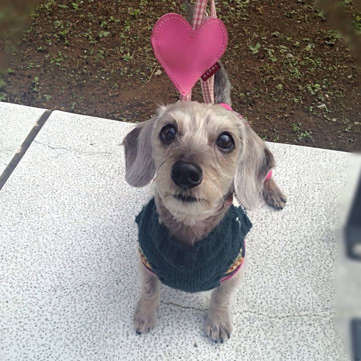 4aa7922a 3719 47fc ac4b d227203ec2b9