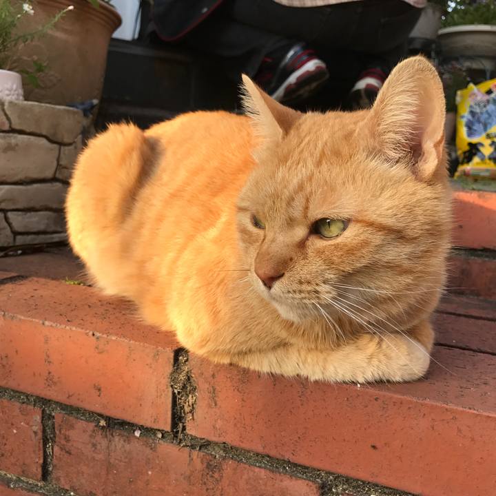 4aa7b7b4 0342 4823 af7b 71d19d11090e