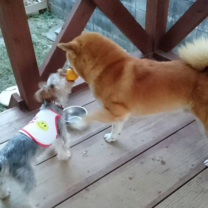 4aa84711 6252 4489 8f0c d9f13e1be749