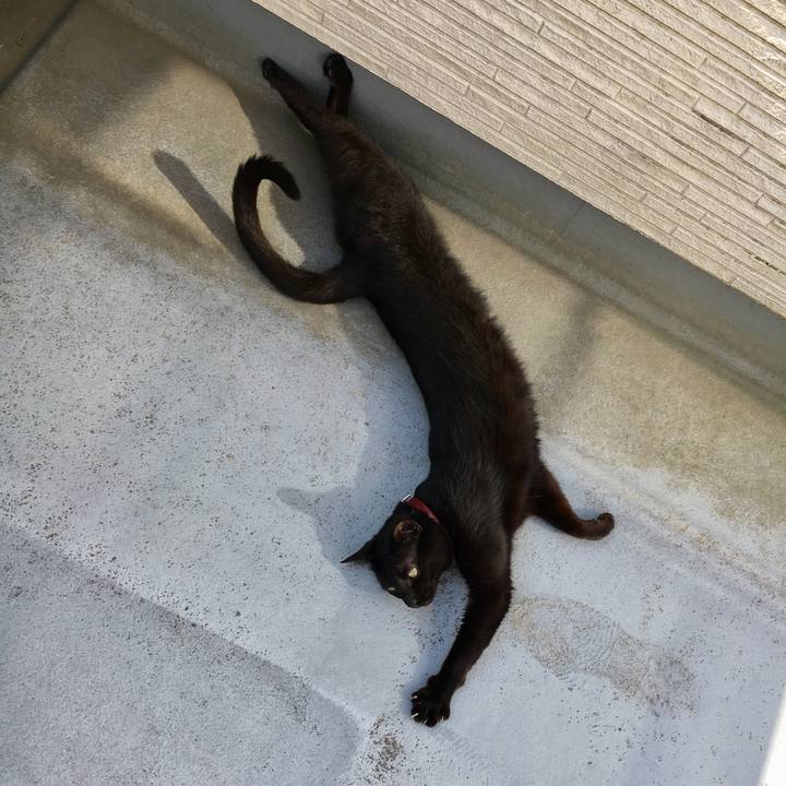 4aa8b980 69cb 4d40 8864 ed598b24bf93