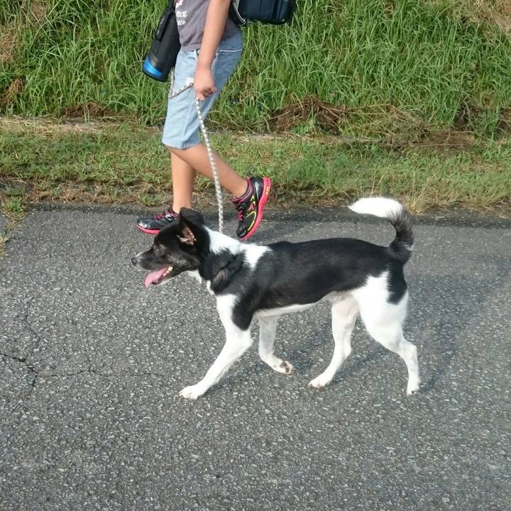 4aa95241 2199 4dce 878c 4cfc976c1095