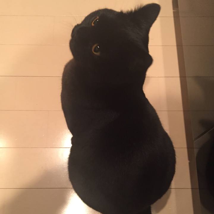 4aa986f0 5f94 48b8 983a bb2963a1005c