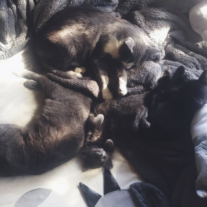 4aaab3b8 2b78 434f b8e7 cbb1d360d4ac