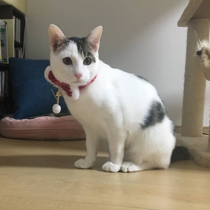 4aab549c 5d57 43fd b972 8fb6e67cc964