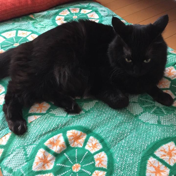 4aaba066 ed96 4215 81ab 1bef2c56e4bc