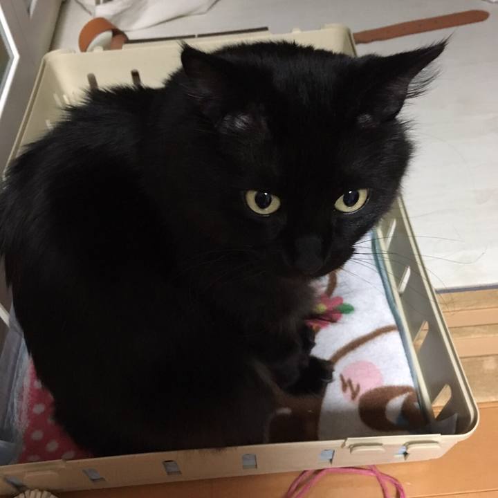 4aac1be9 9a89 48f4 897f 1b69cd0cb534