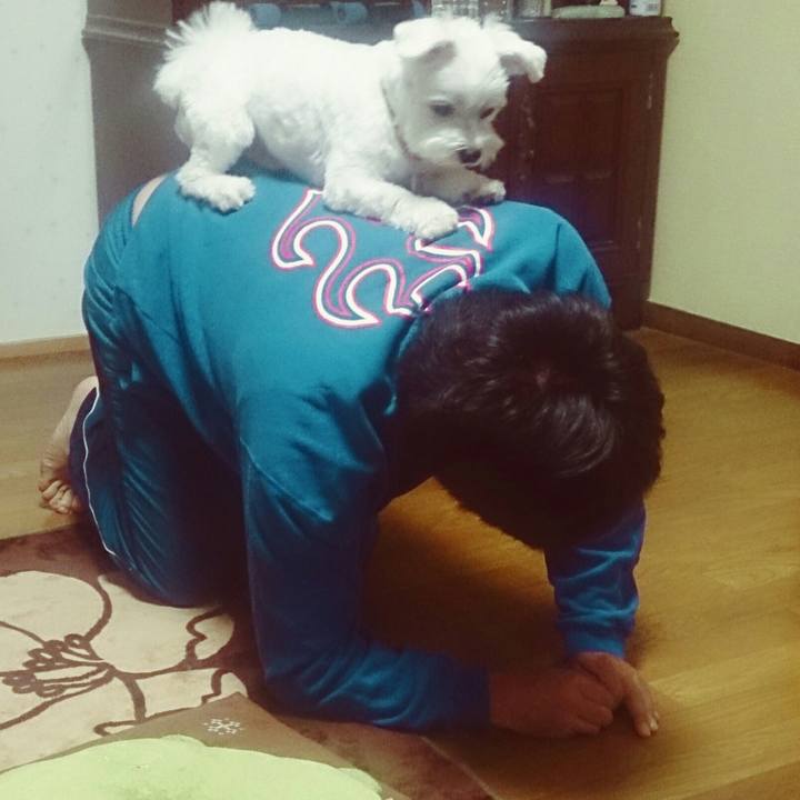 4aacc60b cb58 49e1 a720 b582dbaafa01